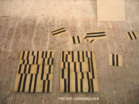 Thicket Assemblages